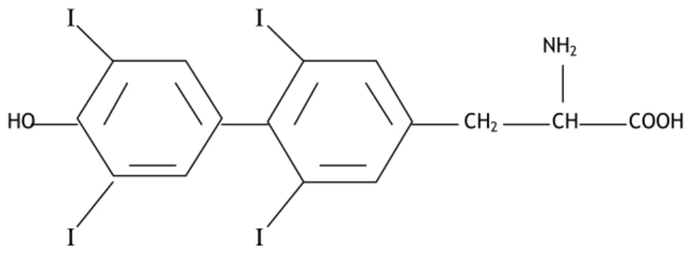 Figura 1: Representação da estrutura química da tiroxina (T4).  