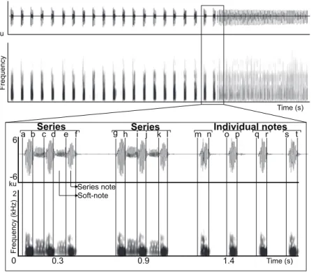 Figure 1 Manual delimitation of syllables and silences between syllables. Waveform and spectrogram showing manual delimitation of syllables and silences between syllables for acoustic analyses of the LRV of the Anillaco Tuco-Tuco (Ctenomys sp.): series not