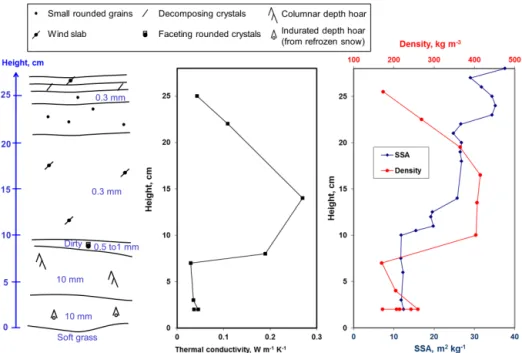 Figure 2. Stratigraphy and vertical profiles of snow physical properties near our study site on 12 May 2015