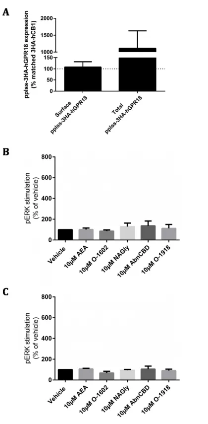 Figure 6 pplss-3HA-hGPR18 HEK Flp-in cell expression and signalling. (A) Is combined data from three biological replicates, comparing surface and total receptor expression in the pplss-3HA-hGPR18  Flp-in HEK cell lFlp-ine relative to the 3HA-hCB1 HEK stabl