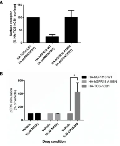 Figure 8 GPR18 phenotype modifications by A108N point mutation. As for the data in Fig