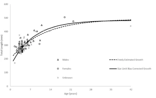 Figure 5 Comparison of SEUS schoolmaster observed size at age to von Bertalanffy growth curves for freely estimated (unweighted) and size limit bias-corrected model runs (McGarvey &amp; Fowler, 2002).
