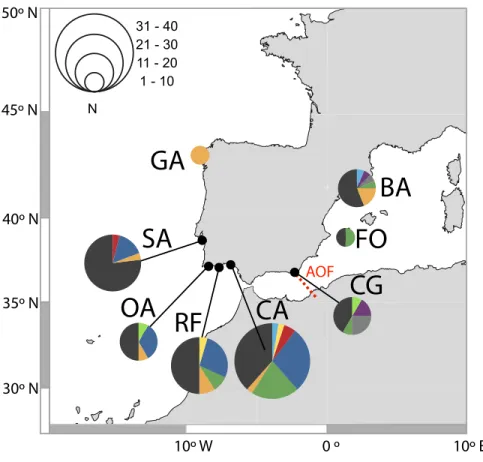 Figure 2 Distribution of D-loop haplotypes of Salaria pavo on each location. Two-letter codes refer to the name of locations in Table 1