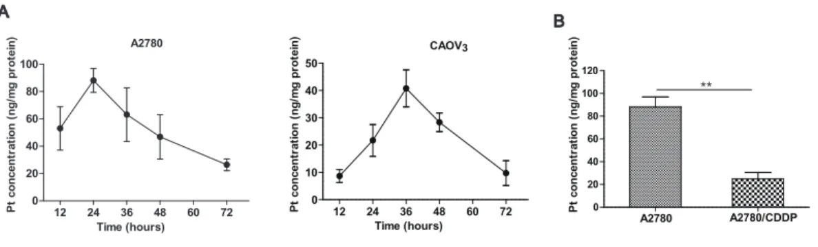 Figure 2 Practical application of the method. (A) The platinum concentration-time curves of A2780 and CAOV 3 cells