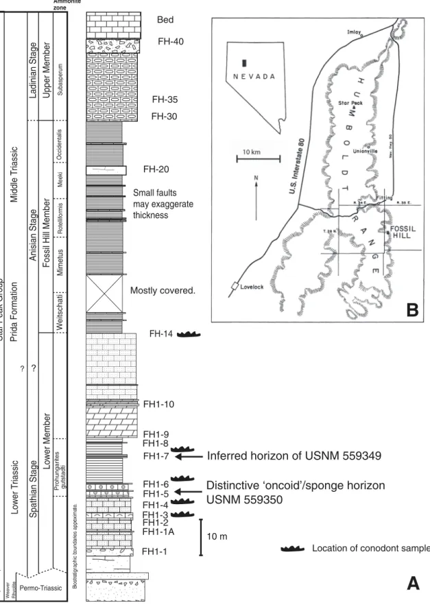 Figure 1 Summarized stratigraphy and regional map. (A) Stratigraphy of the Triassic Prida Formation near Fossil Hill in the Humboldt Range, Nevada indicating horizons of specimens USNM 559349 and 559350 and conodont samples