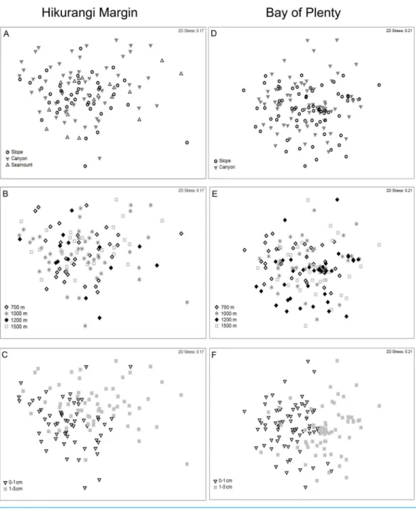 Figure 5 Two-dimensional MDS ordination of meiofaunal community structure at the study regions