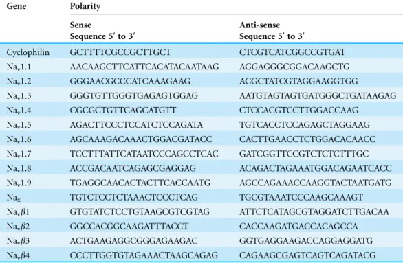Table 1 PCR primer sequences of cyclophilin, and sodium channel subunits.