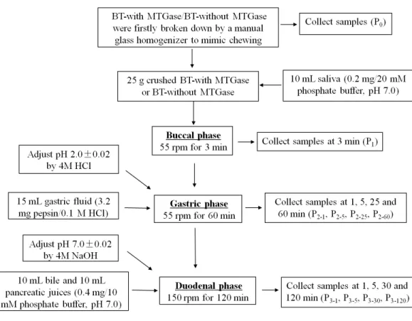 Figure 2 The process of in vitro gastrointestinal simulated digestion (GIS).