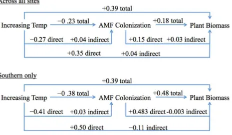 Figure 6 Simplified scheme of direct, indirect and total effects of temperature on AMF colonization and plant biomass for the overall SEM and southern only SEM