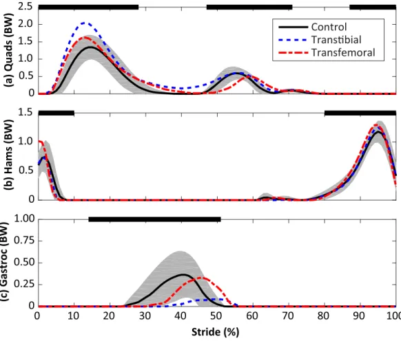 Figure 3 Calculated muscle forces for the quadriceps (Quads, A), hamstrings (Hams, B), and gastroc- gastroc-nemius (Gastroc, C) muscles during the stride, beginning at heel-strike