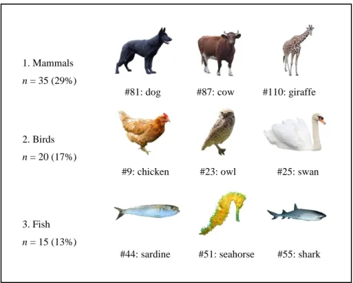 Figure  1.  Distribution  of  the  120  images  (n;  %)  according  to  category  and  examples  of  animals  included in the stimulus set