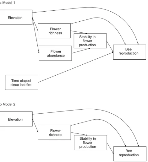 Figure 1 Models evaluating the effect of flower diversity and other ecological factors on the reproductive variables of different bee species of the 14 study sites