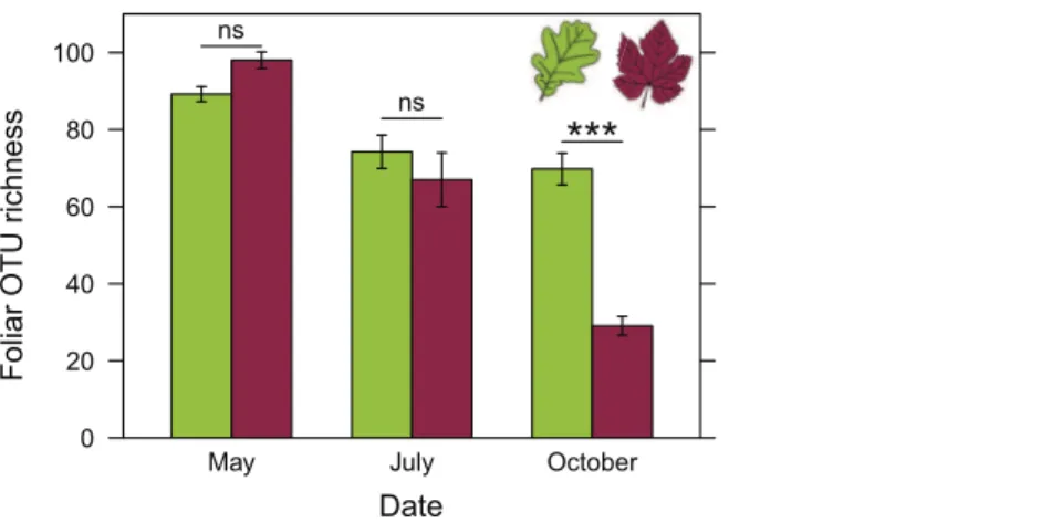 Figure 4 Richness of foliar fungal community in oak (green) and grapevine (red), depending on the sampling date