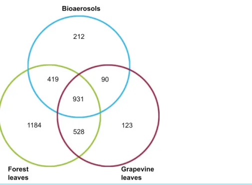 Figure 3 Venn diagram giving the number of OTUs shared between the airborne, forest foliar and vineyard foliar communities.