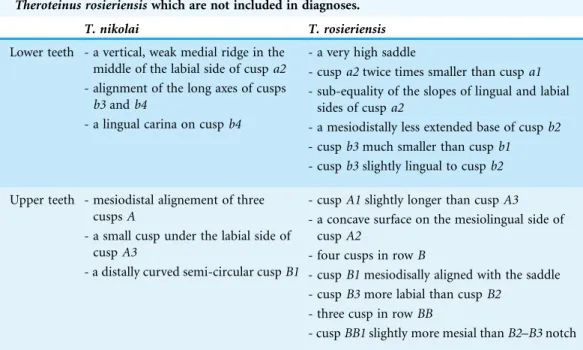 Table 4 Summary of differences between lower and upper molariforms of Theroteinus nikolai and Theroteinus rosieriensis which are not included in diagnoses.