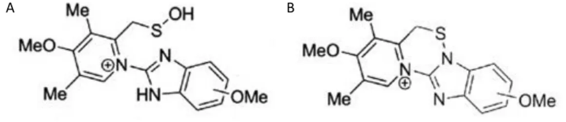 Figura 6 – Omeprazol [20] 