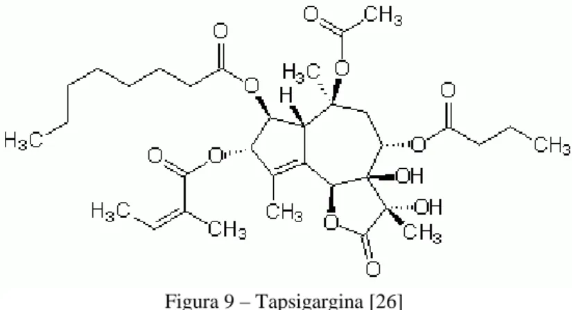 Figura 9 – Tapsigargina [26] 