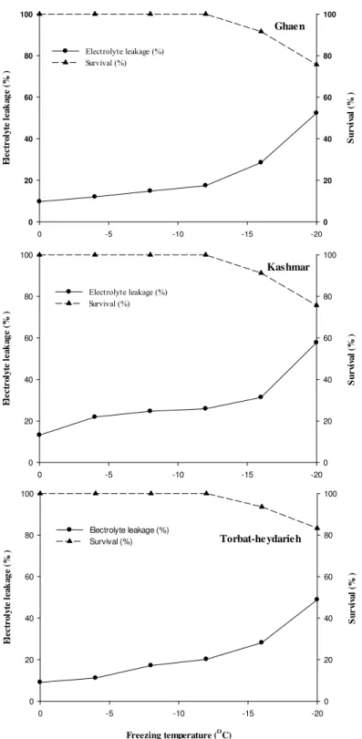 Fig 6. Survival percentage and electrolyte leakage percentage in saffron affected by freezing temperature in  controlled conditions