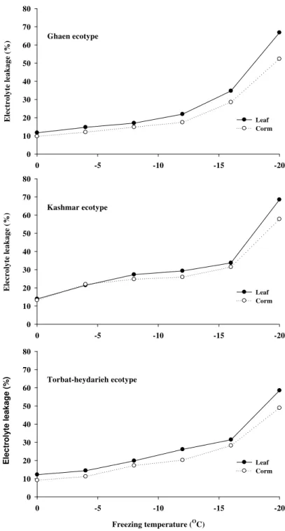 Fig. 1. Interaction effect of ecotype and temperature on electrolyte leakage of Saffron’s leaf and corm in controlled  conditions