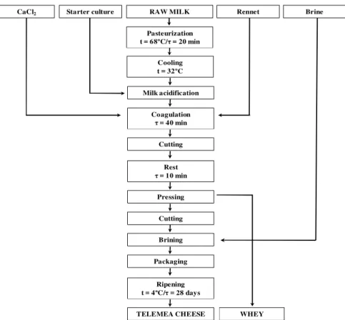 Figure 1. Flowchart for Telemea cheese manufacturing 