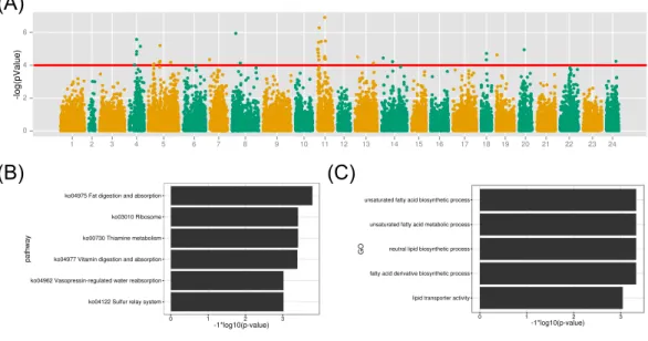Figure 6 GWAS analysis on the muscle EPA and DHA content and the functional analysis therelated protein-coding genes
