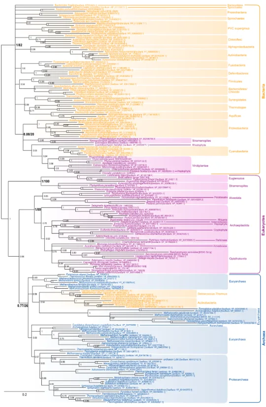 Figure 2 Bayesian phylogeny of the Z -IPTase homologues. The tree is unrooted and was reconstructed using 197 representative sequences and 202 conserved sites