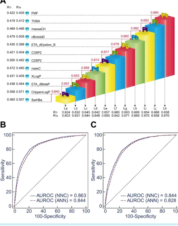 Figure 3 Comparison of NNC model II and ANN model II. (A) Illustration of the framework of NNC model II