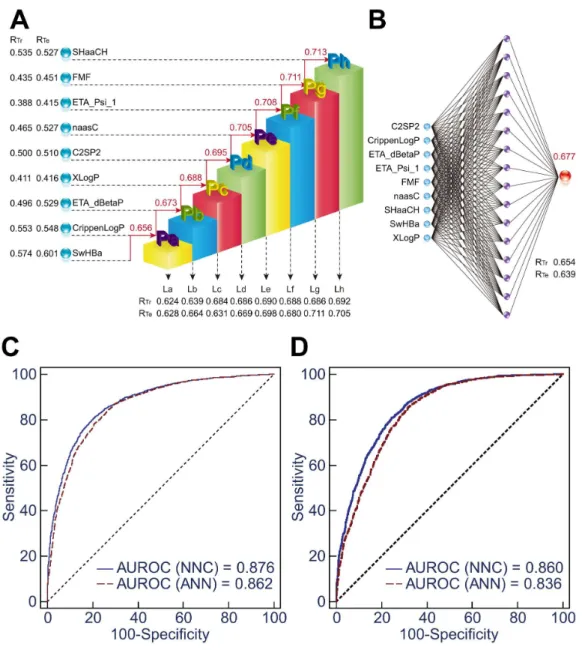 Figure 2 Comparison of NNC model I and ANN model I. (A) Illustration of the framework of NNC model I