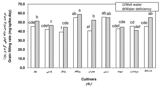 Fig. 5. The effect of interactions between irrigation regime and cultivar on grain filling rate in different wheat  cultivars under post anthesis water deficiency