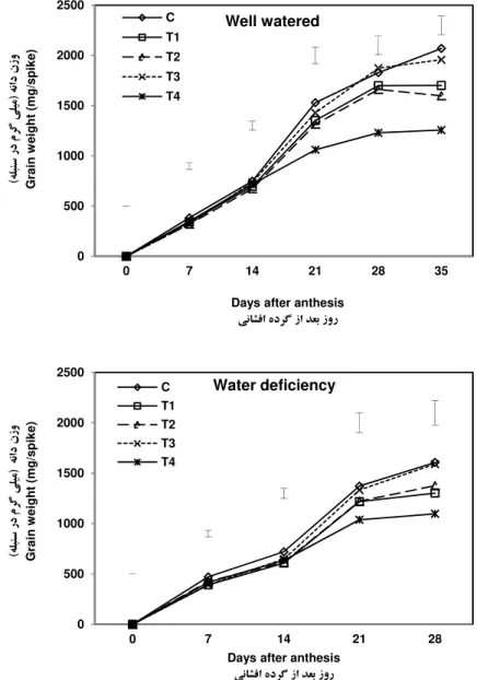 Fig. 6. The weight concentration changes in the grains of source limitation treatments under well water and  post anthesis water deficiency