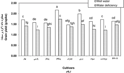 Fig. 3. The effect of interactions between irrigation regime and cultivar on grain yield in different wheat cultivars  under post anthesis water deficiency