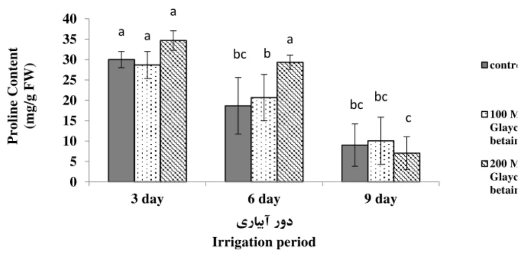 Fig. 2. Effect of glycine betain on proline content of sorghum in three irrigation treatments
