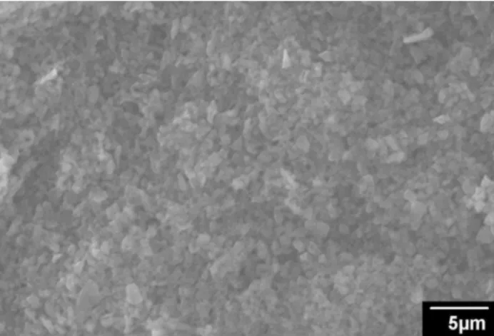 Figure 7. Densities of the SiC green bodies with di ff erent solid contents