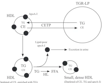 Table 1. Known Potentially Protective Properties of High Den- Den-sity Lipoproteins