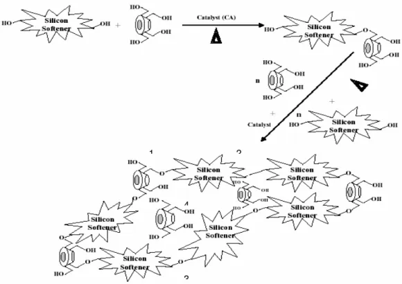 Figure 3. Chemical structure of AEAP-Silicon softener (T.6) 