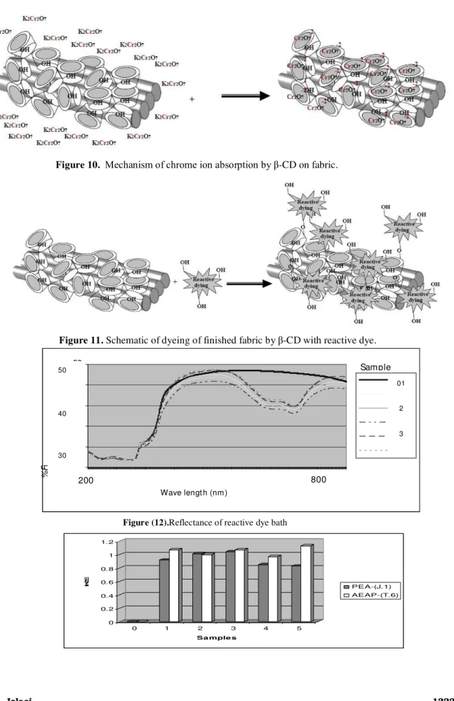 Figure 11. Schematic of dyeing of finished fabric  by β -CD with reactive dye.                                  