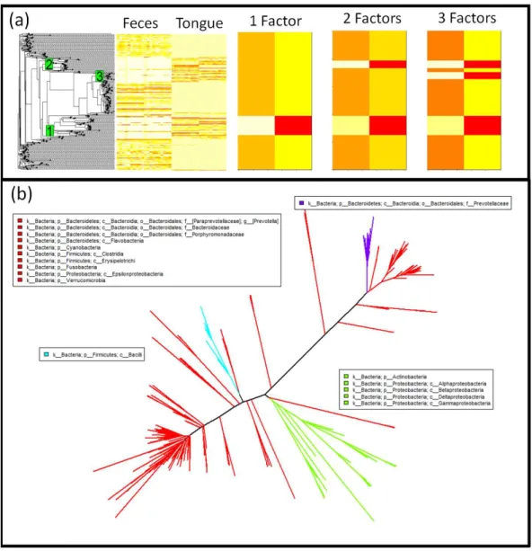 Figure 4 Phylofactorization of human feces/tongue dataset identifies clades differentiating body sites.