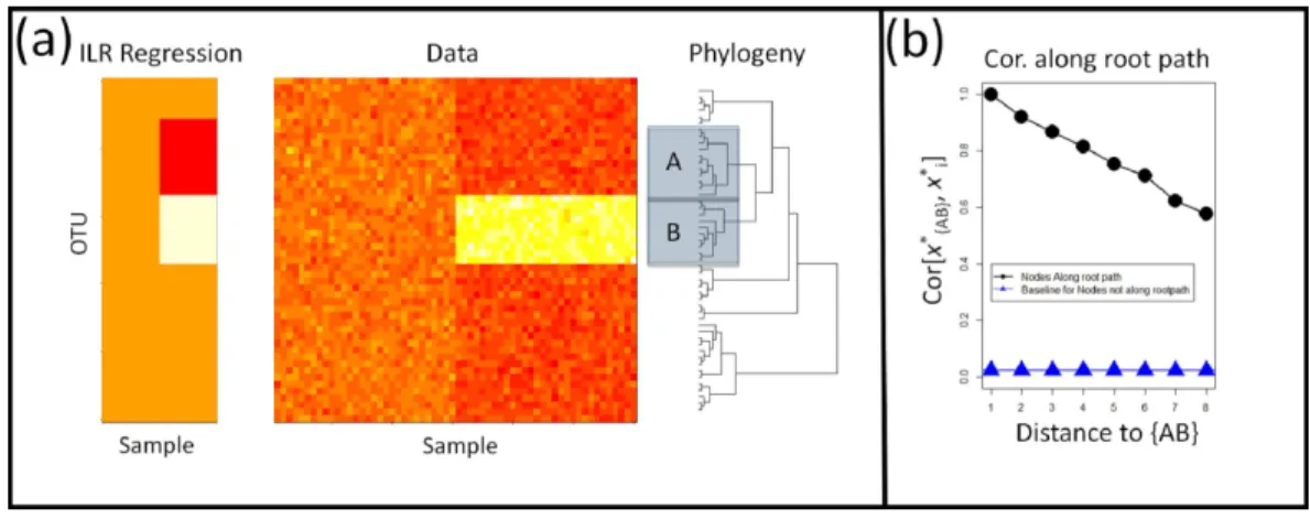 Figure 1 Shortcomings of Rooted ILR. (A) The isometric log-ratio transform corresponding to a phy- phy-logeny rooted at the common ancestor is inaccurate for geometric changes within clades