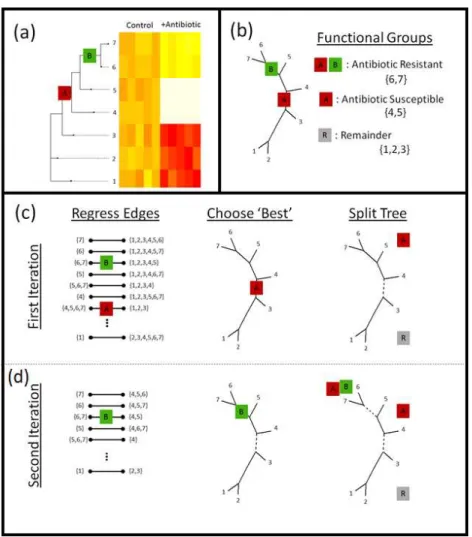 Figure 2 Phylofactorization. (A) Phylofactorization changes variables from tips of the phylogeny (OTUs used in analysis of microbiome datasets) to edges of the phylogeny with the largest predictable differences between taxa on each side of the edge