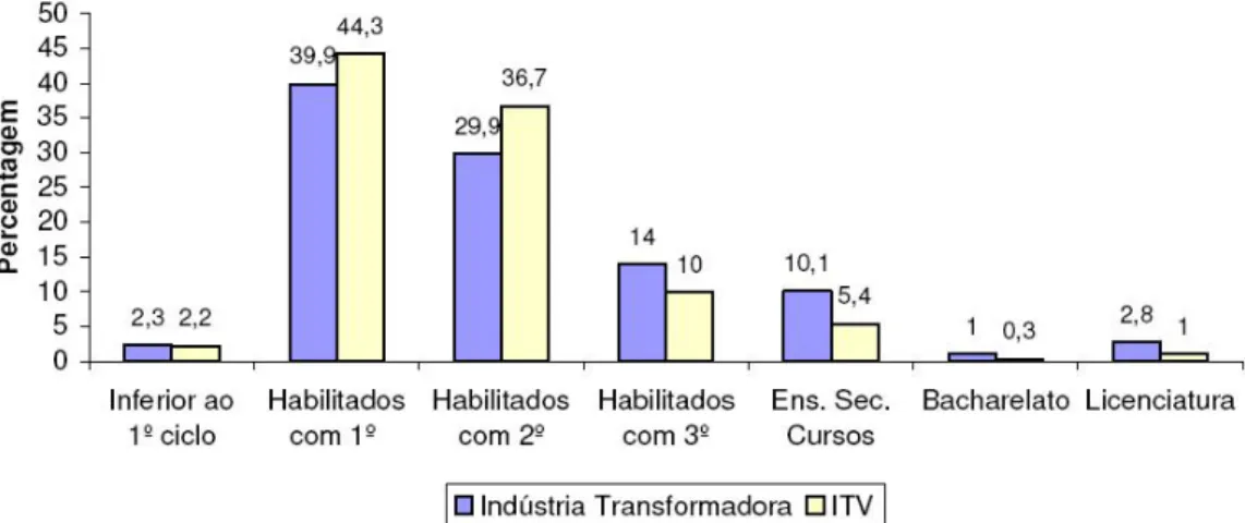 Gráfico 2 - Grau de habilitações dos recursos humanos