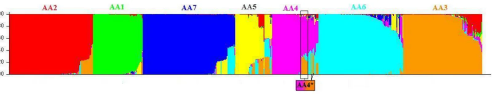 Figure 2 Genetic structure of Asian/American genotype obtained using the STRUCTURE program using admixture model