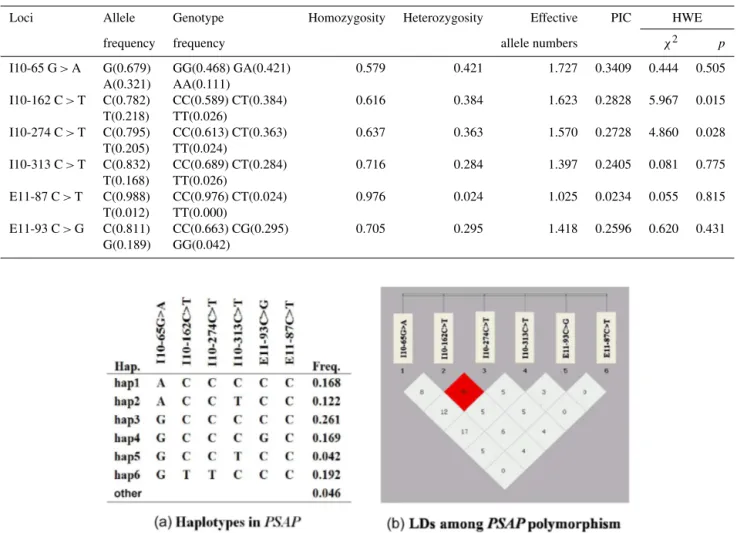Figure 2. Gene haplotype and linkage disequilibrium (LD) coefficients in PSAP gene. (a) Haplotypes of PSAP