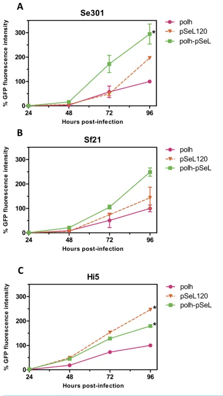 Figure 4 Promoter activity of pSeL120 when combined with the pph promoter. GFP expression, measured as the relative fluorescence intensity, in different insect cell lines infected with the different baculoviruses at a MOI of 5