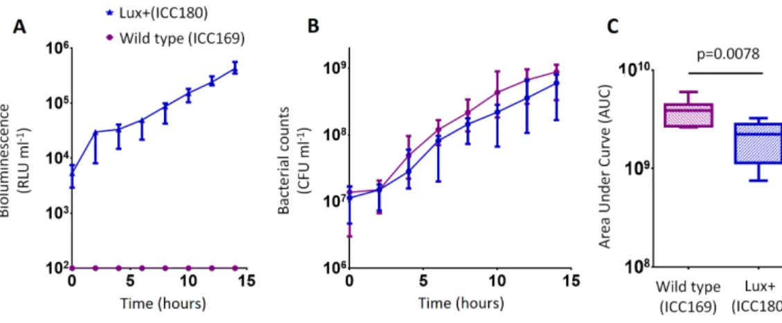 Figure 3 C. rodentium ICC180 is mildly impaired during growth in a defined minimal laboratory medium when compared to its non-bioluminescent parent strain ICC169