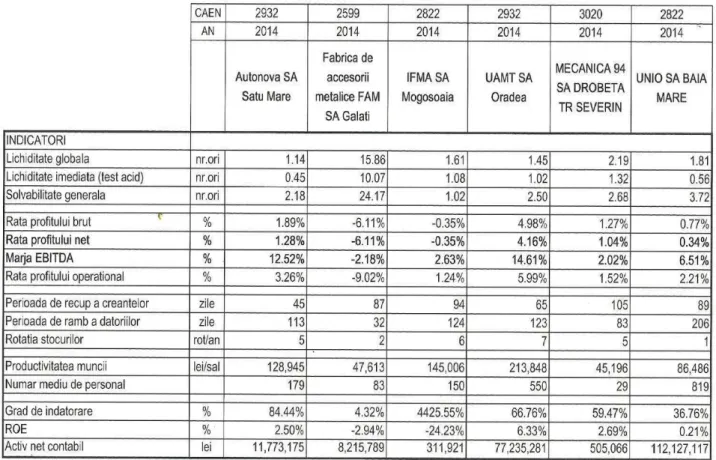 Table 2: Financial indicators calculated based on balance sheet data 