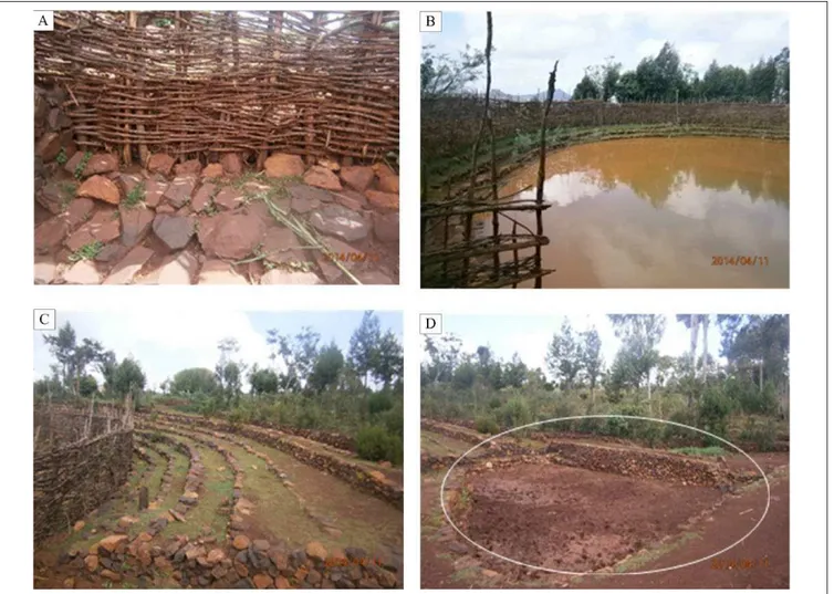 Figure 5.  Non-productive water-harvesting pond and its plastic  cover in Konso.