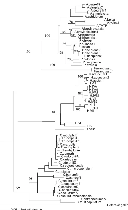 Figure 3 Phylogenetic analysis of the combined ITS-1 and ITS-2 sequence data for members of the Anisakidae with Heterakis gallinarum as outgroup, using the neighbour-joining method