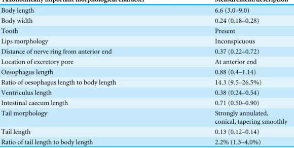 Table 2 Morphological description of Terranova larval type found in the present study