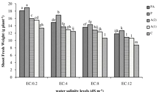 Fig 1. Shoot fresh weight in wheat plants inoculated with microorganisms endophyte (P: 