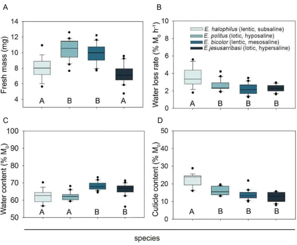 Figure 1 Interspecific comparison of desiccation resistance traits in Enochrus species